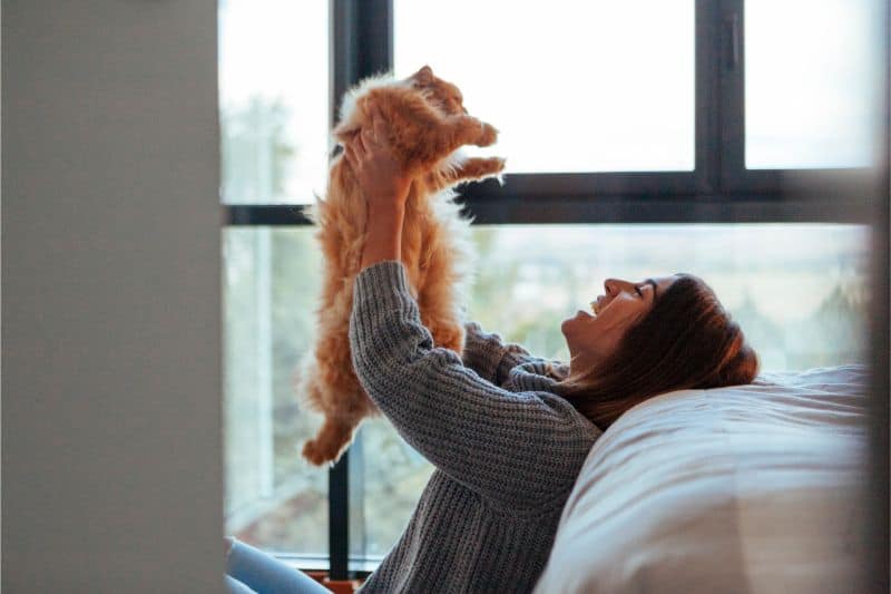 Pet owner holding cat up in her arms.