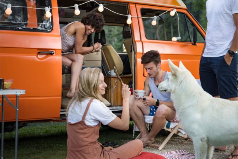 Dog and people sitting around a van.