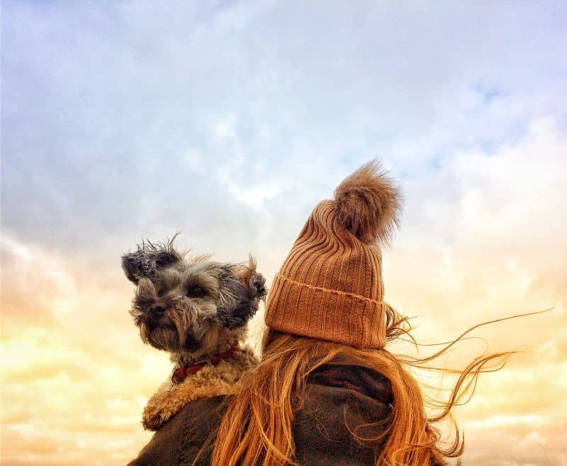 Pet owner and dog looking at the sky.
