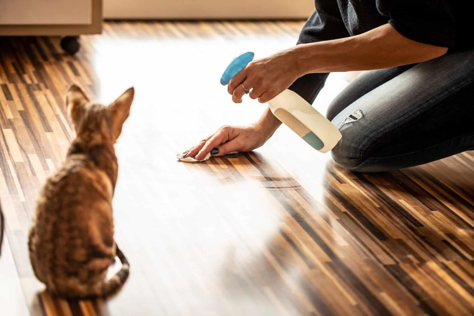 A cat watches a woman clean the floor.