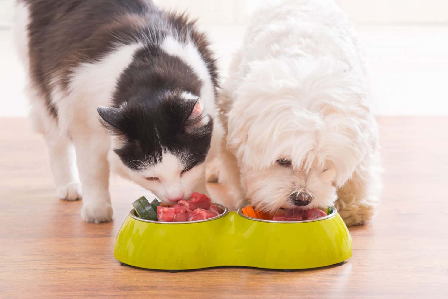 From The Vet What To Look For In Pet Food Products Bowman Veterinary 