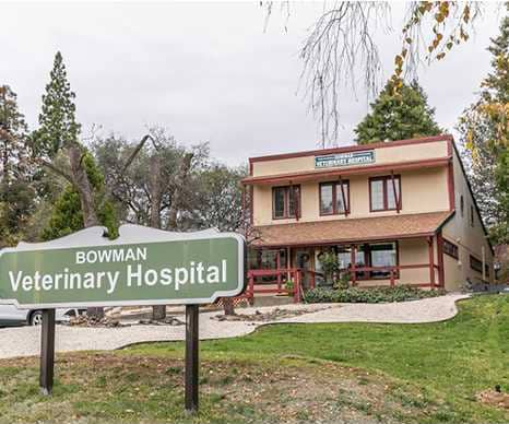 Bowman Veterinary Hospital Bowman Veterinary Hospital